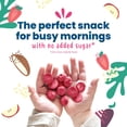 thumbnail image 5 of (12 pack) Amara Organic Breakfast Oat Melts Strawberry Baby Snack, No Added Sugar, Stage 2, 7g, 5 of 5