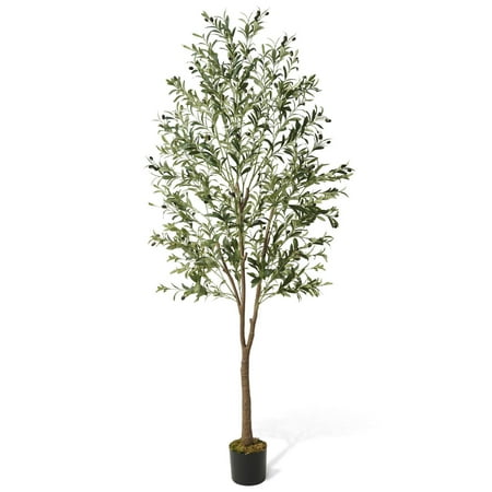 CAPHAUS Artificial Olive Tree  5 / 6 / 7 Feet Fake Potted Topiary Tree with Dried Moss  Faux Olive Branch and Fruit  Faux Plant in Pot for Indoor Home Office Modern Decoration Gift for Housewarming
