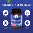 thumbnail image 5 of Natures Craft Candi-Clear Body Cleanse Detox for Women - Anti Overgrowth Gut Detox for Women with Caprylic Acid Black Walnut Wormwood and Oregano - Full Body Cleanse with Pre and Probiotics, 5 of 9
