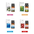 thumbnail image 3 of YiJuHui Aromatherapy Oil for Humidifier, Therapeutic Grade Natural Essential Oils 10 Pack, Stress Relief Home Fragrance, Aromatherapy Diffuser Oils Set for Relaxation Sleep Gift, 3 of 9