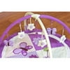 Pam Grace Creations Lavender Butterfly Play Gym