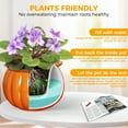 thumbnail image 7 of EFISPSS 6" Self-Watering Pumpkin-Style Ceramic African Violet Pot – Pumpkin-Orange Indoor Planter, No Plant Included, 7 of 7
