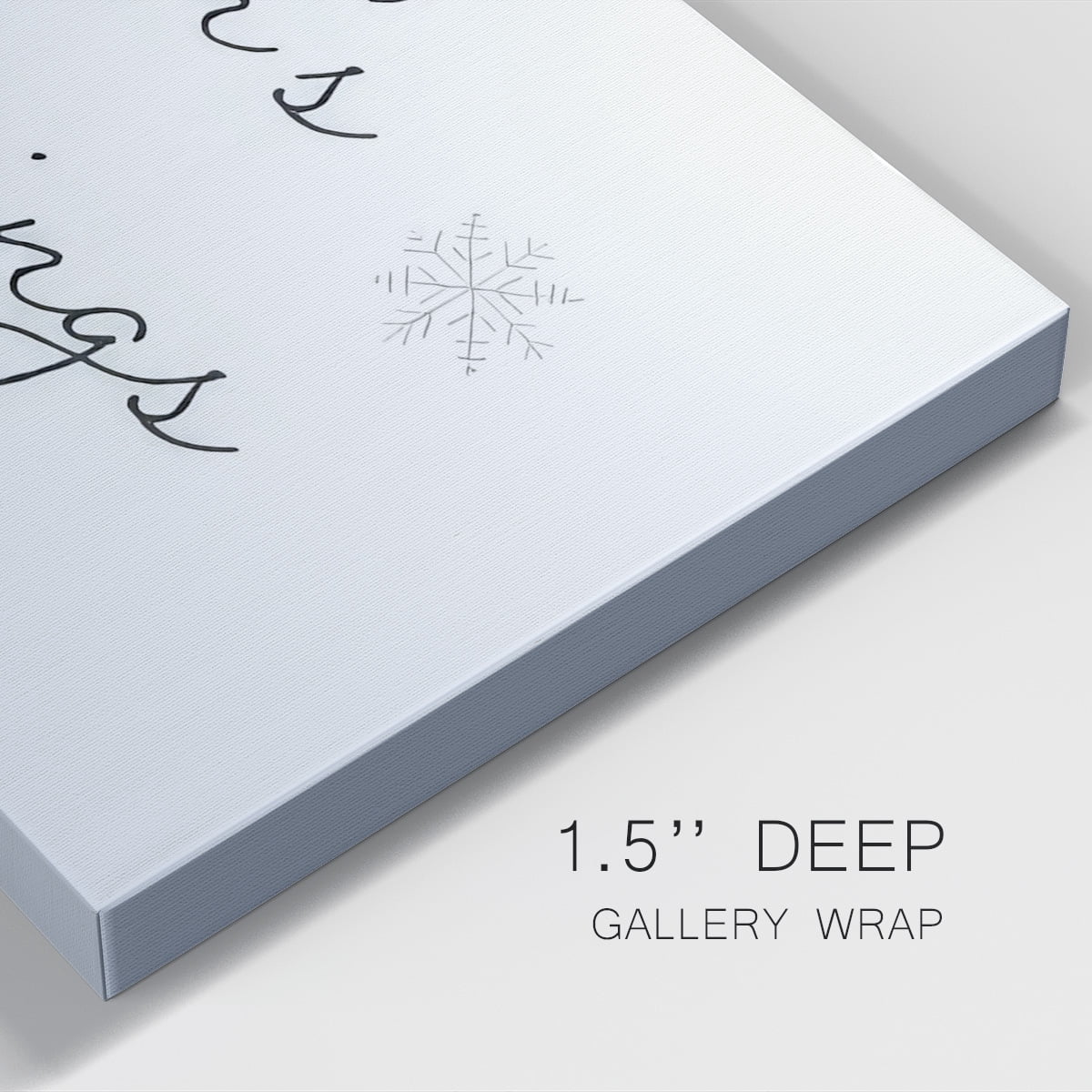 Winter Visitor Collection D- Gallery Wrapped Canvas