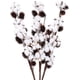 thumbnail image 1 of 3 piezas de flores de algodón natural YONGSHENG ramo de flores secas naturales color blanco tamaño 72 cm, 1 of 5