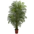 thumbnail image 1 of Nearly Natural 5435 Palmier Areca Résistant aux UV, 7,5 Pieds, Multicolore, 1 of 2