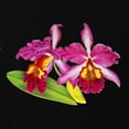 thumbnail image 2 of CafePress - Pink Cattleya Orchid Maternity Dark T Shirt - Maternity Dark T-Shirt, 2 of 3