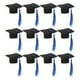 thumbnail image 1 of BRIGHTFUFU 12pcs mini graduación de tapa de tapa de la botella de la botella de vino Decoración de ramas, 1 of 7