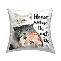 Stupell Industries Where The Cat Is Phrase Square Decorative Printed Throw Pillow, 18 x 18