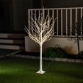 thumbnail image 1 of Pantalla exterior iluminada Hi-Line para regalo, abedul, 1,5 m LED, 1 of 5