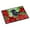 Black, variant on Carolines Treasures CK1308MAT Giant Schnauzer Poinsettas Door Mat Indoor Rug or Outdoor Welcome Mat 18x27 Doormat 27"L