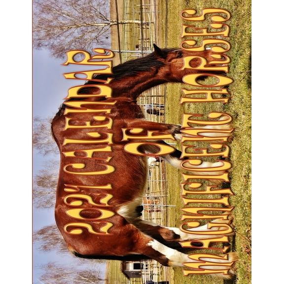 2021 Calendar Of Magnificent Horses: 12 outstanding Horses images - Great for the Horse Enthusiast (Paperback)