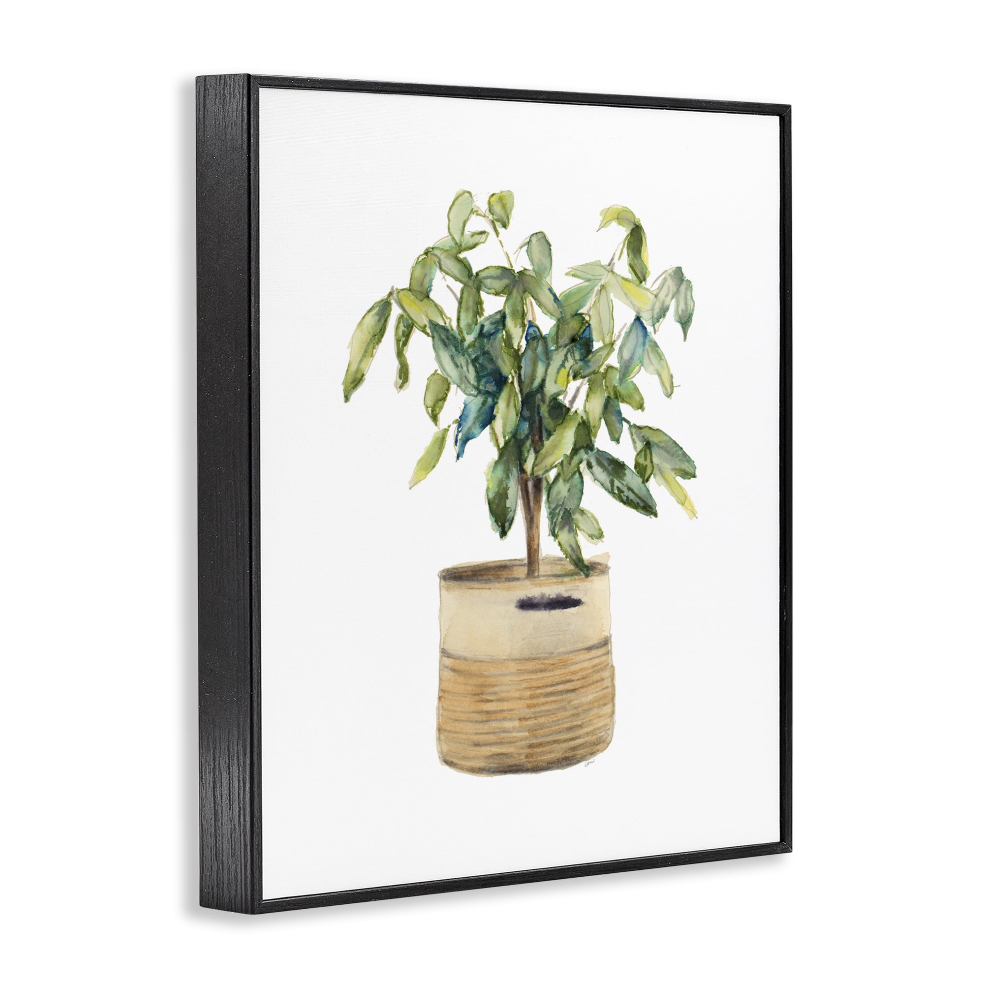 Stupell Industries Potted Plant Greenery Botanical & Floral Painting Black Framed Art Print Wall Art, 11 x 14