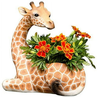 Giraffe Creation 7 inch Large Plant Pots, 5 Pack Flower Pots Outdoor  Indoor, Planters with Drainage Hole and Tray Saucer