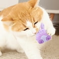 thumbnail image 3 of Interactive Crinkle Toy for Cats Adorable Animal Design Encourages and Satisfies Natural Chewing Instincts with Safe Materials, 3 of 4