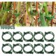 thumbnail image 2 of Paquete de 100 clips de soporte para plantas, tomates, ataduras, cordel, enrejados, jaulas, plantas trepadoras, verduras, 2,5 cm, 2 of 5