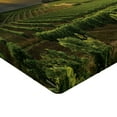 thumbnail image 2 of Ambesonne Winery Fitted Sheet, France Sunset Vineyard, Twin Size, Green Yellow Grey, 2 of 3