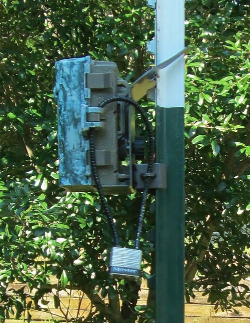 diy game camera mount