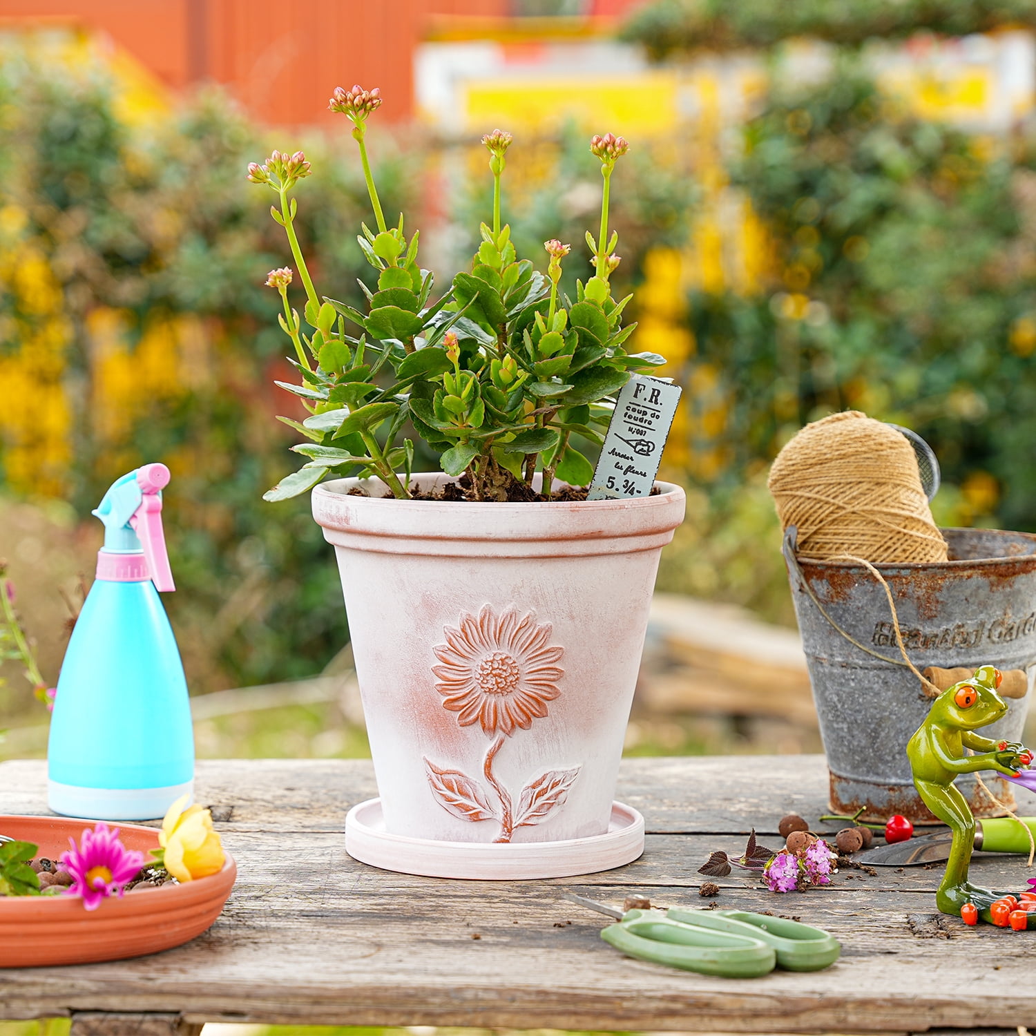 Sungmor Set of 3 Terra Cotta Pots with Saucer & Drainage Hole, Large & Deep Clay Pots, Unique Embossed & Pretty Color Pottery Planters, Decorative Flower Pots for Plants Orchid Cactus Succulent