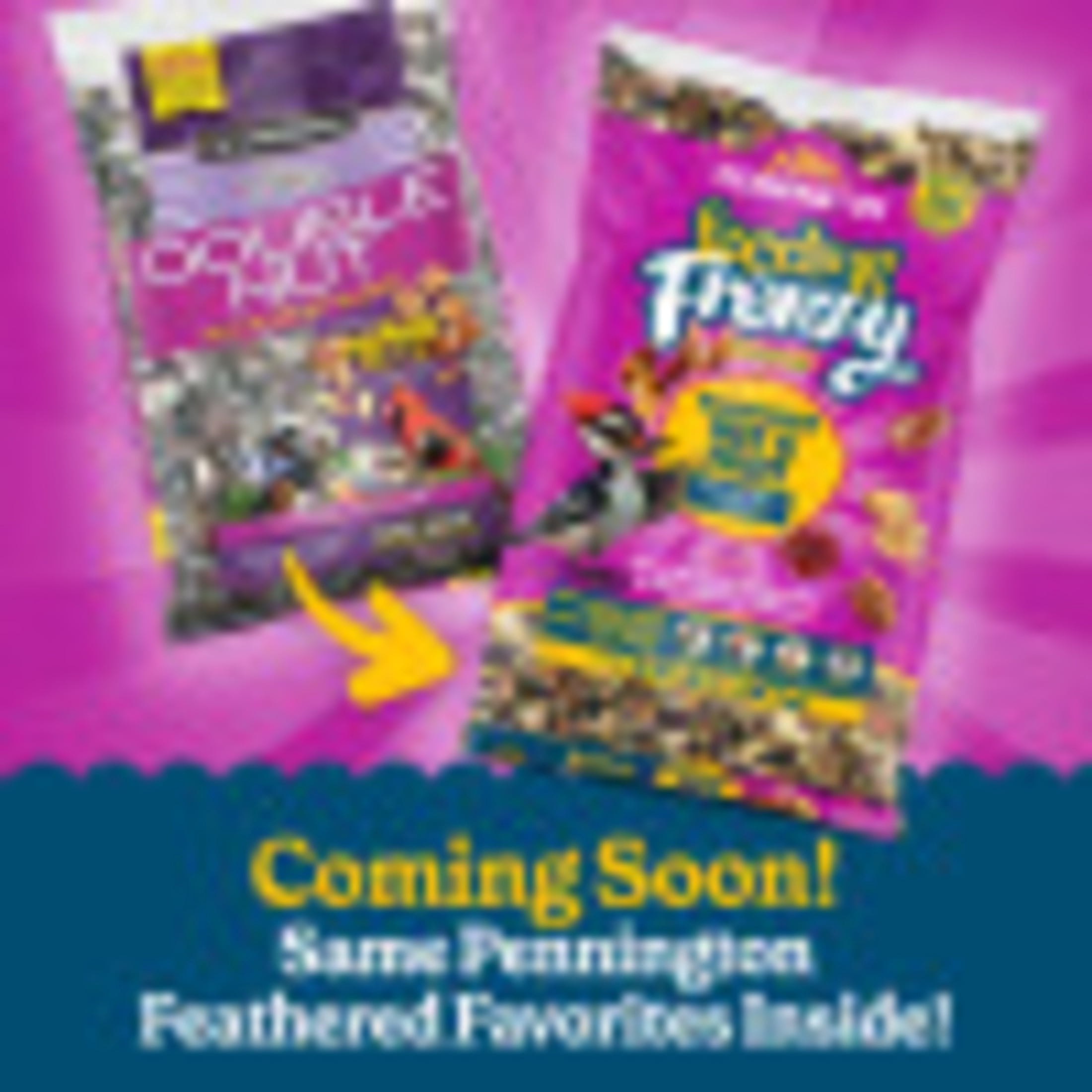 Pennington Ultra Double Nut & Fruit Blend, Wild Bird Seed and Feed, 2.5 lb. Bag, 1 Pack, Dry