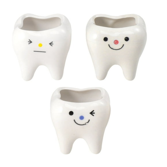 3pcs Creativo Mini Diente Cerámica Maceta Suculentas Simulación Diente Hierba Titular Hogar Dormitorio Decoración de la sala de estar (Patrón de color aleatorio)
