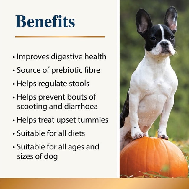 Karnlea Pumpkin Powder for Dogs Treats 200g