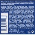 thumbnail image 2 of LOccitane Immortelle Precious Eye Balm , 0.5 oz, 2 of 5