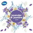 thumbnail image 5 of Dial Antibacterial Bar Soap, Calm & Soothe Lavender & Jasmine Deodorant Bar, 4oz (8 Bars), 5 of 11