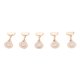 thumbnail image 1 of 5pcs Soporte Sujetador de Punta de Uñas Porta de Práctica de Clavo Nail Art DIY Sunnimix Soporte para sujetador de punta Nail Art, 1 of 8