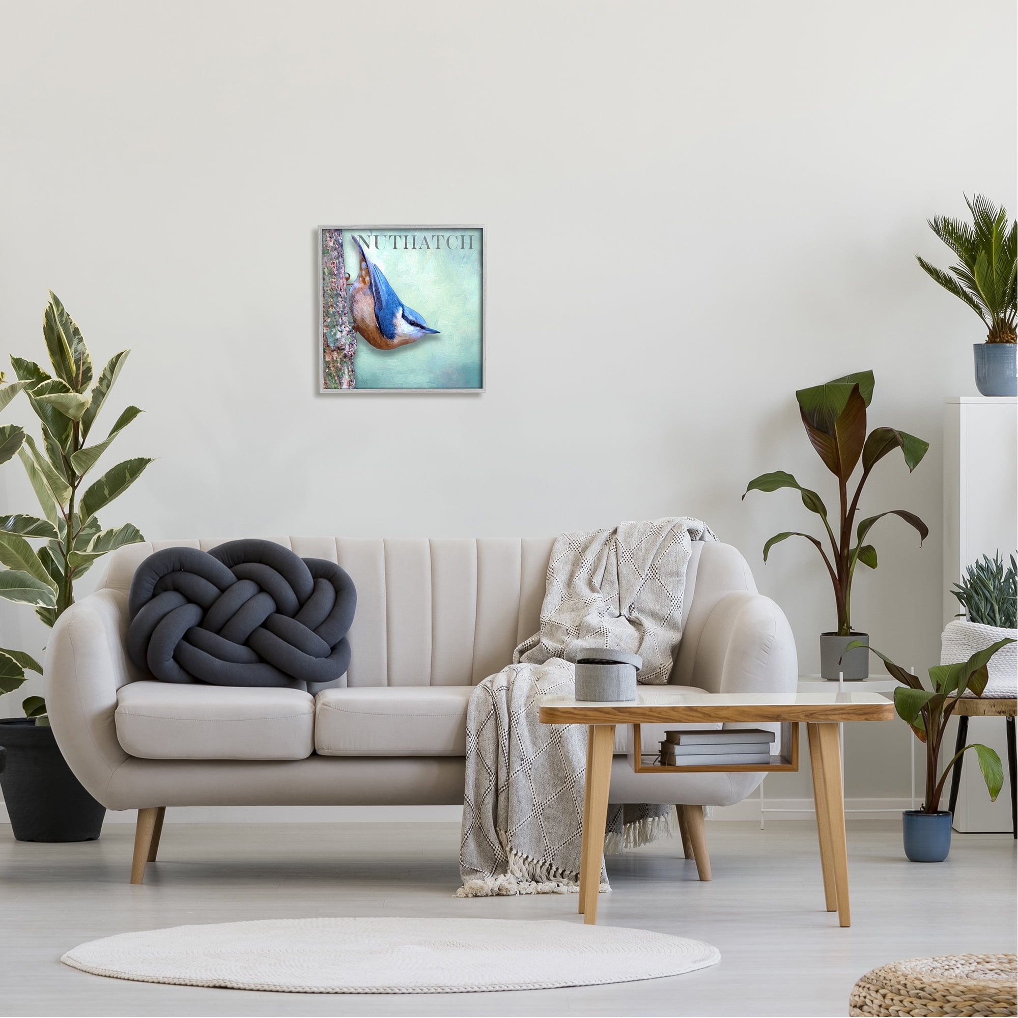 Stupell Industries Blue Nuthatch Bird Climbing Tree Forest Wildlife Graphic Art Gray Framed Art Print Wall Art, Design by Alpenglow Workshop