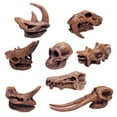 thumbnail image 4 of Ancient Animals Skeleton Model Skull Educational Toys Bones Decor, 4 of 6