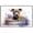 American Staffordshire Terrier, variant on Golden Retriever Dog Canvas Bathroom Décor - Unique Bath Wall Decor - Modern Canvas Bathroom Wall Art - Room Decor - Bathroom Decorations - Restroom Sign - Wall decor living room