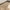 Beige, variant on VUNATE Kitchen Mat Washable Kitchen Rugs and Mats Non Skid Absorbent Runner Rugs for Kitchen Front of Sink Kitchen Floor Mats 20"x32" Beige Kitchen Mats or Rugs