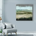 thumbnail image 3 of Trademark Fine Art 'UA CH Crystal Moorland I' Canvas Art by Grace Popp, 3 of 4