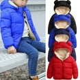 thumbnail image 3 of Qtinghua Infant Toddler Baby Boy Girl Hooded Coat Cute Ear Long Sleeve Zipper Jacket Winter Warm Outerwear Tops Blue 6-12 Months, 3 of 4