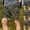 Army Green, variant on Timoontee Men's Resort Shorts Short Length Elastic Waistband Side Pockets Included Durable Stitching Perfect For Gym Training Green M