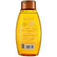 thumbnail image 2 of Aveeno Apple Cider Vinegar Clarifying Shampoo, Shine Enhancing, 12 fl oz, 2 of 2