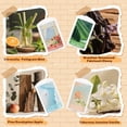 thumbnail image 3 of SCENTORINI Aromatherapy Wax Melts, Multi-Scent Wax Cubes for Warmers Natural Soy Candle Making, 4Pack, 3 of 8