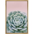 thumbnail image 3 of PixonSign Framed Canvas Print Wall Art Lily Pad Succulent on Pink Background Nature Plants Photography Realism Modern Scenic Colorful Green Pastel for Living Room, Bedroom, Office - 24"x36" Natural, 3 of 5