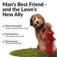 thumbnail image 3 of Sunnydaze 14" Fire Hydrant Iron Outdoor Statue, 3 of 12
