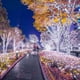thumbnail image 3 of De Cortina Led Para Decoraciones Luces De Cadena Usb 3 M X 3 M Cortina De Luz Impermeable Luces De Hadas Para Dormitorio Patio Jardín 300 Luces Advancent HA041227-03, 3 of 6
