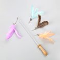 thumbnail image 2 of Cat Teaser Toy Retractable Funny Cat Wand Toy Kitten Play Toy with Replacements, 2 of 8