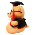 thumbnail image 4 of Muñeco de oso de graduación, juguete de oso de peluche, estatuilla de oso de graduación, suministros para fiesta de graduación, 4 of 4
