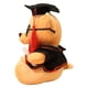 thumbnail image 4 of Muñeco de oso de graduación, juguete de oso de peluche, estatuilla de oso de graduación, suministros para fiesta de graduación, 4 of 4