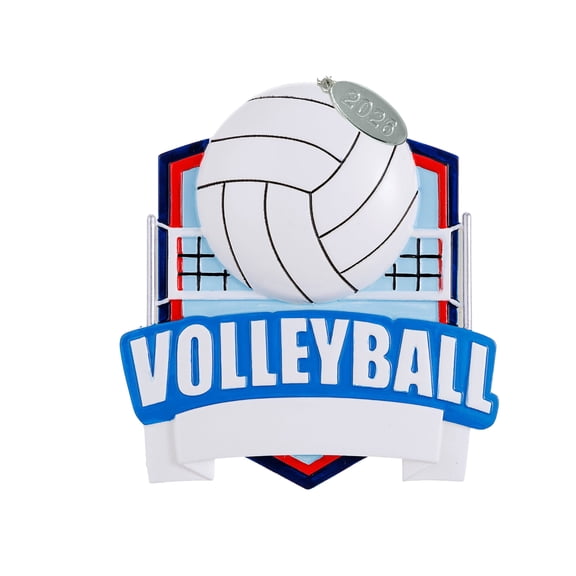 Volleyball Ornaments, Volleyball Christmas Ornament to Personalize, Volleyball Gift Idea for Boys or Girls, Includes Hangtag and Gift Box (Volleyball)