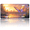 Butterfly at Sunset, variant on 1 Pcs 2D Flat License Plate Covers & Frames, Sparkling Cross among Pink For Decorative Front, Waterproof For Decoration Aluminum License Plate Covers & Frames Cover For Men Women, 12" X 6"