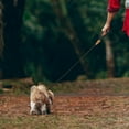 thumbnail image 4 of Dog Leash Dog Chain Walking Dog Artifact Daily Outdoor Walk Hair Children, 4 of 4