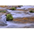 thumbnail image 2 of Terrill, Steve 18x13 White Modern Wood Framed Museum Art Print Titled - Oregon, Willamette NF McKenzie River over rocks, 2 of 4