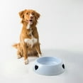thumbnail image 4 of FAMTKT Dog Bowls Love Puppy Bowl Cats Bowl Food Bowl Avoid-Knockover Pet Bowl Dog Cats Drinking Water Bowl Dog Feeding & Watering Supplies, 4 of 6