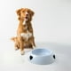 thumbnail image 4 of Xihbxyly Oferta Del Día Prime Solo Hoy Cuenco para Cachorros Cuenco para Gatos Cuenco para Comida Cuenco para Mascotasque Evitaque Se Vuelque Cuenco para Agua Potable para Perros y Gatos, 4 of 6
