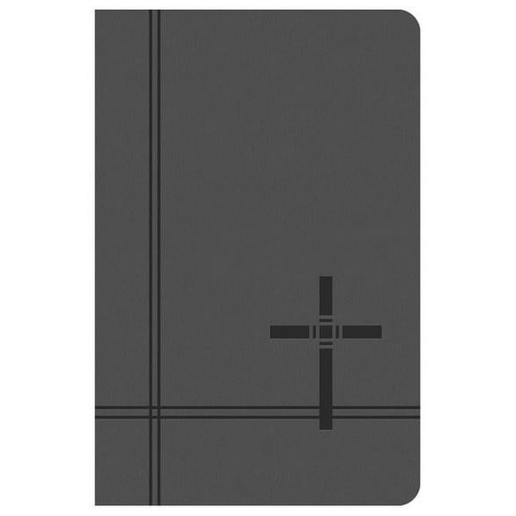 KJV Deluxe Gift & Award Bible (Gray)
